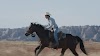 🎬The Rider | Accès instantané oR Gratuit Streaming [V&F] +FraNçaiS+