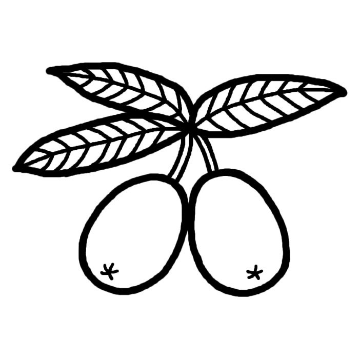 びわ 白黒 果物 食べ物 無料イラスト素材