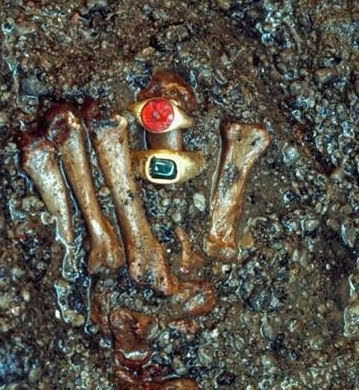 Red ring embroidered body found