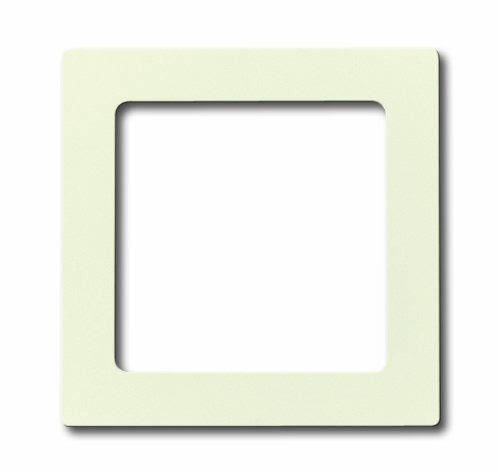  Busch-Jaeger 8251-82 C-Scheibe solo/future