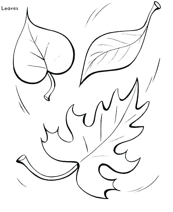 Download Autumn Leaves Coloring Pages at GetColorings.com | Free printable colorings pages to print and color