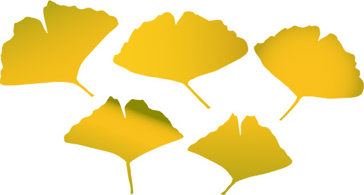 イチョウ 銀杏 のイラスト5点 ベクターデータ フリー無料素材 商用ok 京都ホームページ制作日記