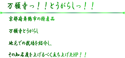 万願寺っ とうがらしっ