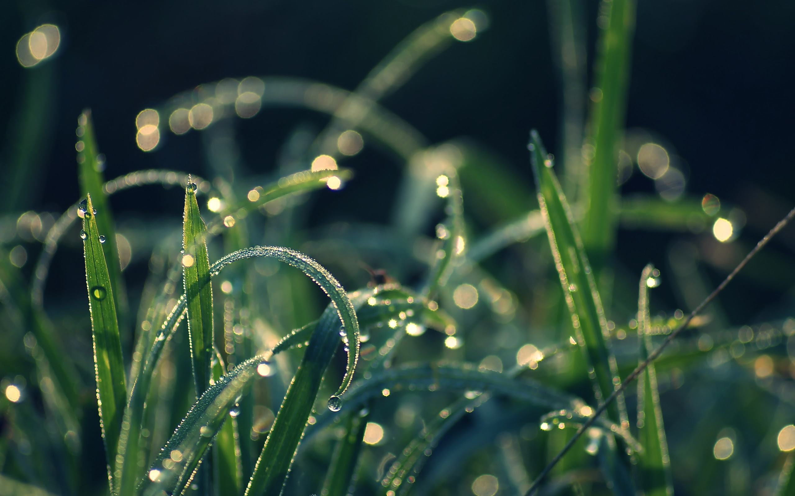 ios 6 wallpaper water drops