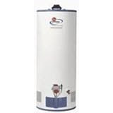 Rheem 42VP40FW Power Vent Natural Gas Water Heater, 40 Gallon