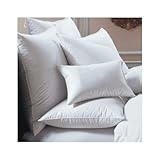 Bernina Euro 650 White Goose Down Pillow Size: Euro