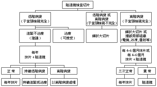 A26 治療子宮頸癌前病變的新趨勢