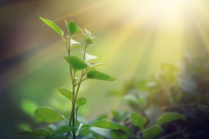 shutterstock_287326268