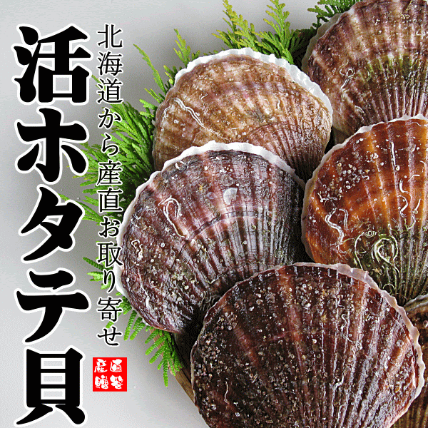 呼び名は色々あるけれど 同じ帆立貝