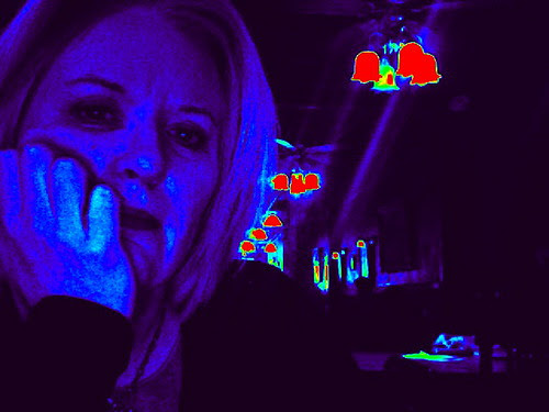 Althouse at Stella's