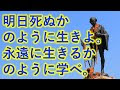 無料ダウンロード 明日死ぬかのように生きよ。永遠に生きるかのように学べ。 英語 345022