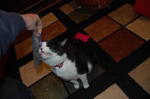 OH MY AGWD I LUVS IT!!!