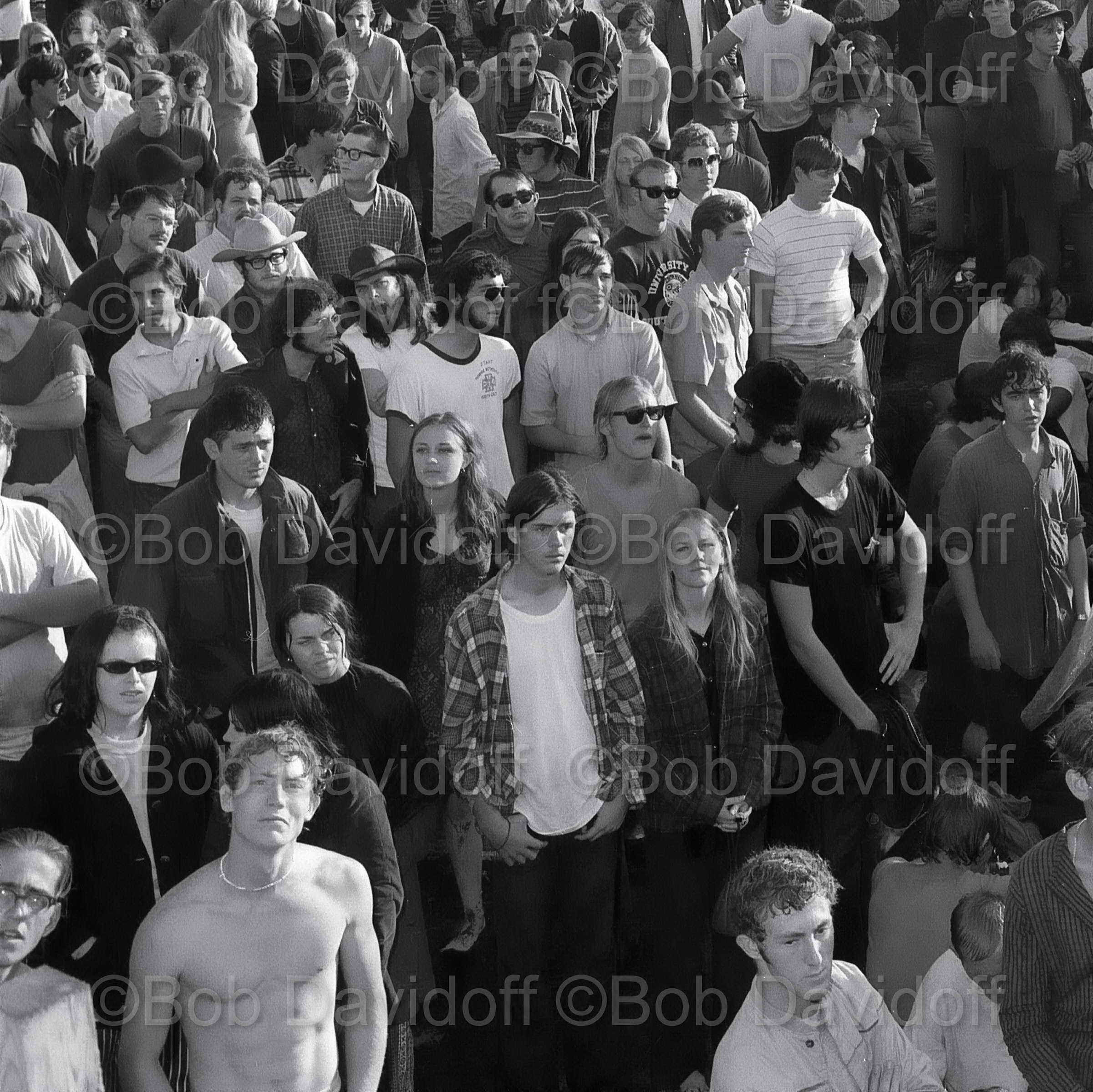 Palm Beach Music Festival 1969 : Classic Rock Photos | 1969 Palm Beach Pop Festival | Rolling Stones - For many people, the only festivals in 1969 were the famous woodstock music and art fair and the infamous altamont speedway free festival.