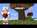 【人気ダウンロード！】 minecraft fov quake pro 131704-Minecraft fov quake pro