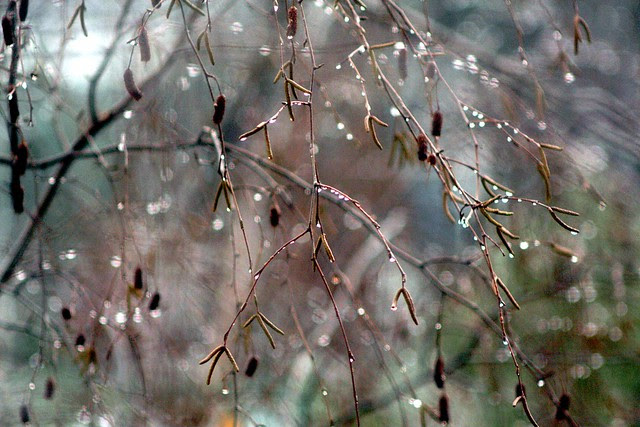 droplets
