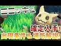 【印刷可能】 剣盾 ミミッキュ 140966-剣盾 ミミッキュ 出ない