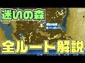 コンプリート！ ゼルダの伝説 ブレス オブ ザ ワイルド コログの森 287192-ゼルダの伝説 ブレス オブ ザ ワイルド コログの森