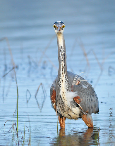 What're you lookin' at?