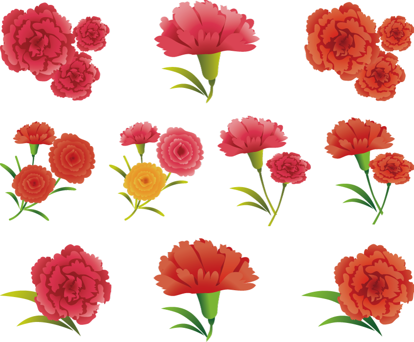 フリーイラスト 10種類のカーネーションの花のセットでアハ体験 Gahag 著作権フリー写真 イラスト素材集