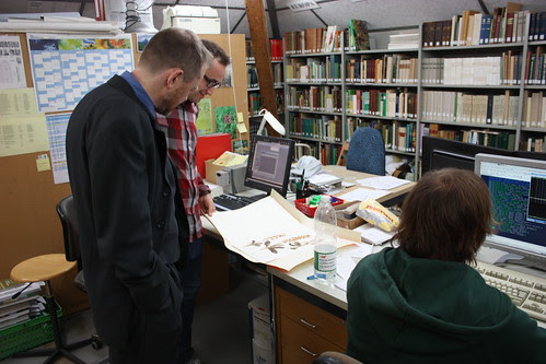 Swiss Orchid Foundation and eMonocot
