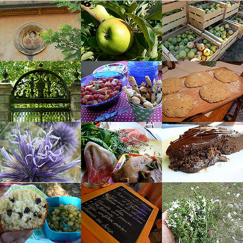 mosaïque Début d'automne 2011.jpg