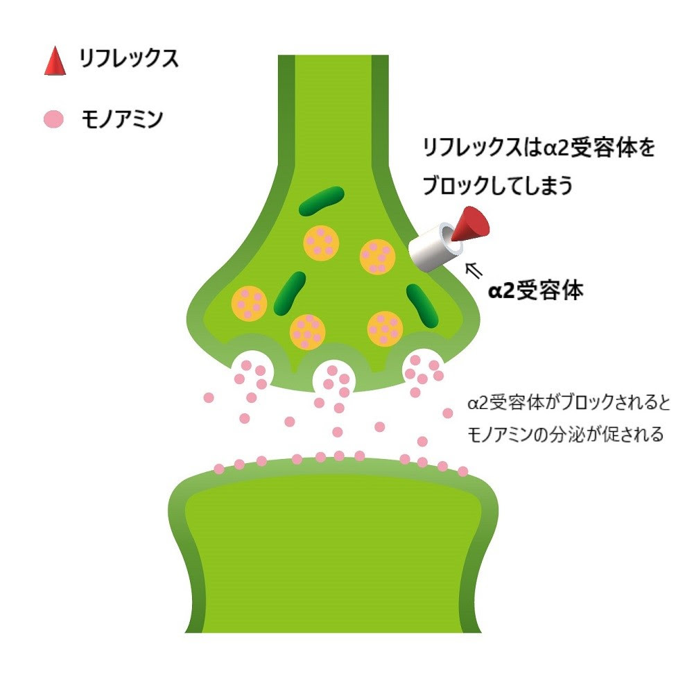 リフレックスの作用機序を精神科医が解説 体重増加や眠気が生じる機序 抗うつ剤