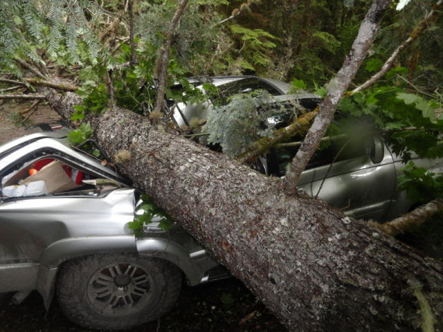 Couple’s Truck Crunched By Nature