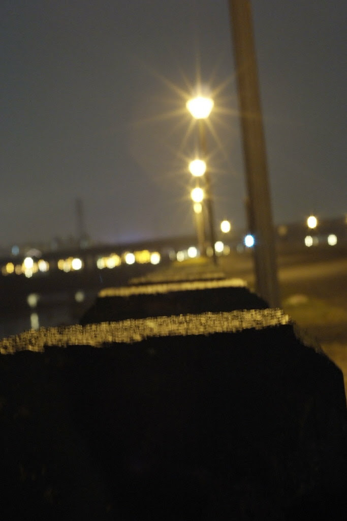 _DSF0360 (by skiseiju)