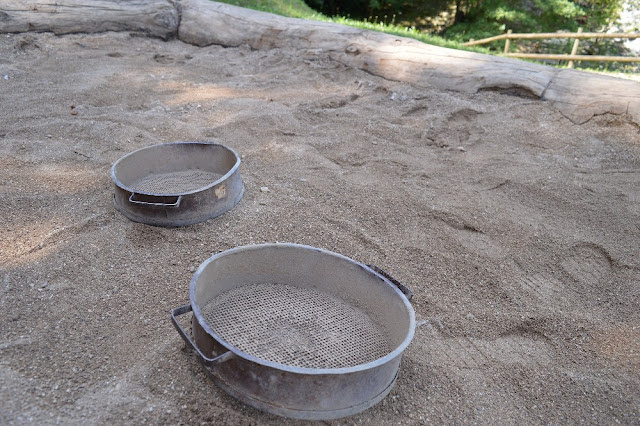 museo dei fossili bolca pesciaria