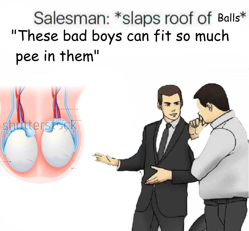 Pee Is Stored in the Balls | Slaps Roof of Car | Know Your ...
