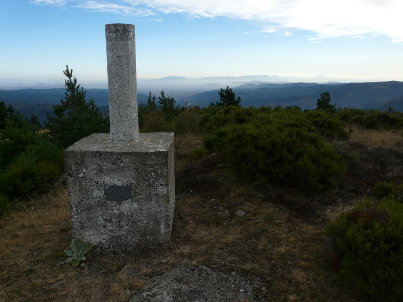 P1030361.jpg
