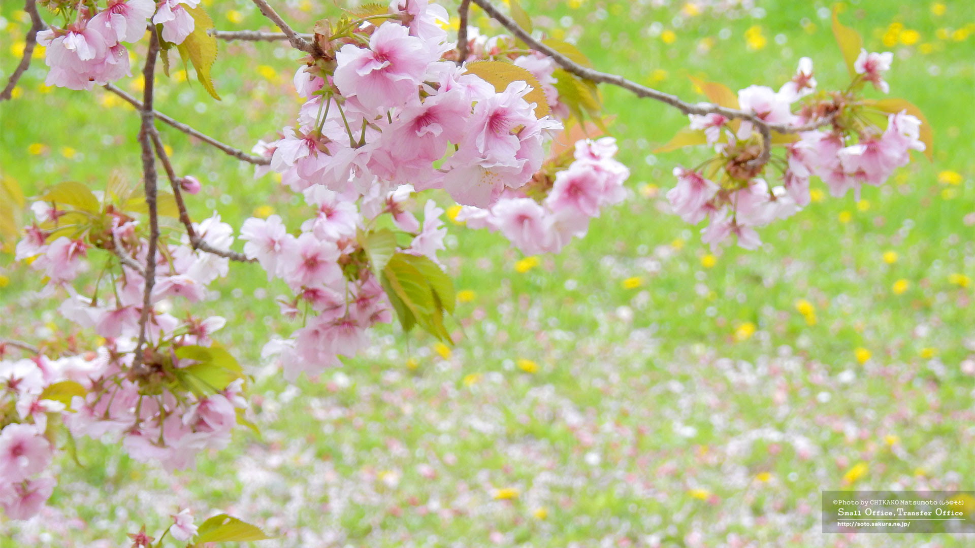 フリー背景画像を作成しました キャンピングカー放浪旅生活 Soto Br 終の棲家は自走式