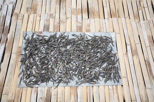 dried fish