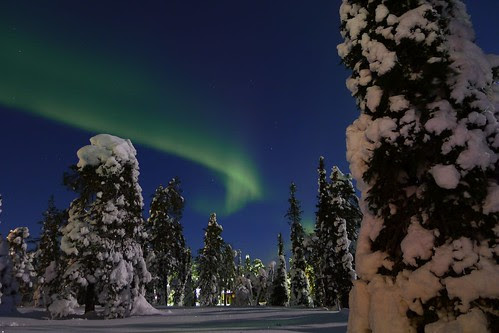 無料写真素材 自然風景 樹木 オーロラ 夜空 雪 風景フィンランド画像素材なら 無料 フリー写真素材のフリーフォト