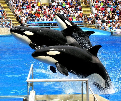 Aquarium Tickets Sea Life Park Discounts Deals Sea | Autos ...