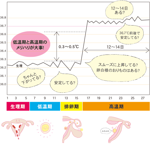 龍虎堂薬局 子宝相談 女性不妊
