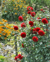 2872898958_4aa6a38901_o