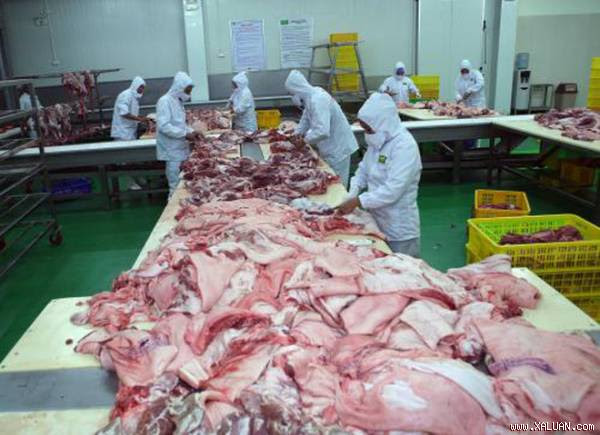 Cảnh báo nguồn cung thịt lợn đang vượt cầu