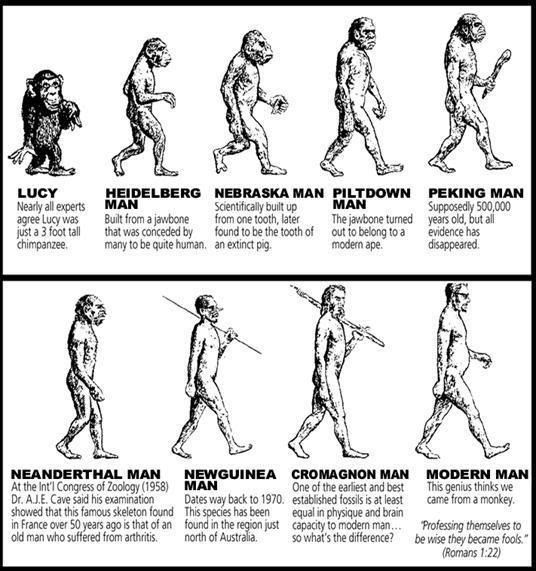 Evolution EH?