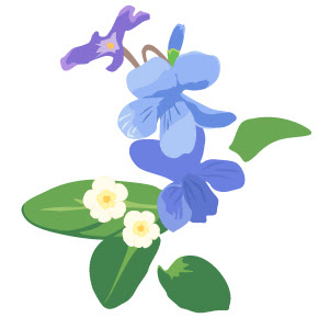 ユニークすみれ の イラスト かわいいディズニー画像