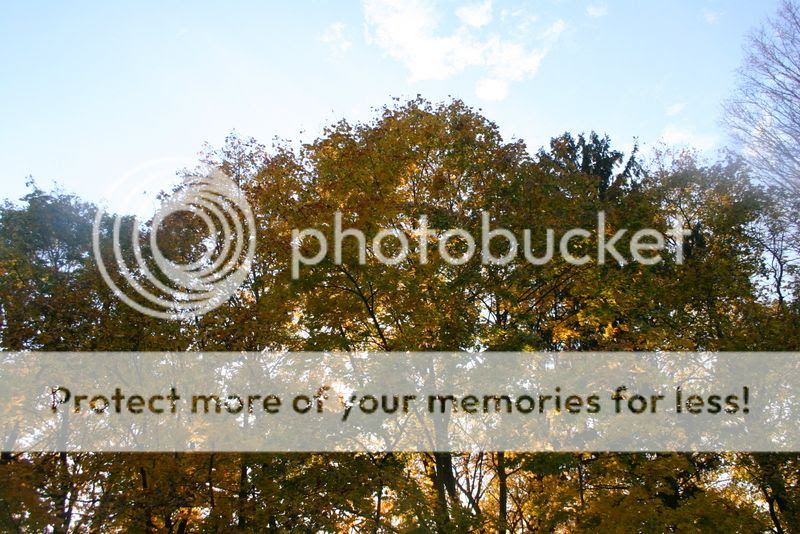 photo IMG_1922_zpsee493bf1.jpg