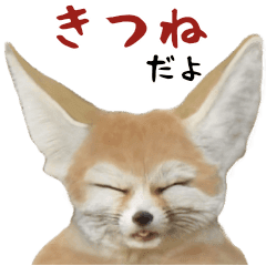 Lineスタンプ 狐 の完全一覧 全2種類
