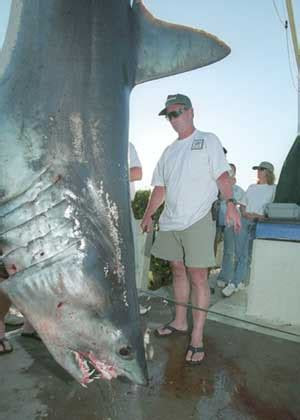 Type iib blue diamond to a joint venture between top producer de beers . Big Fishes of the World: SHARK MAKO (Isurus oxyrinchus)