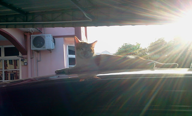 Bright sun
