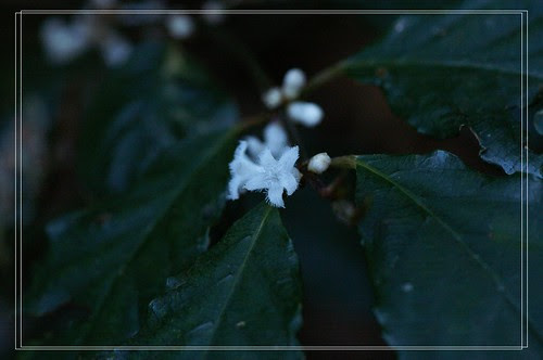 PICT6759