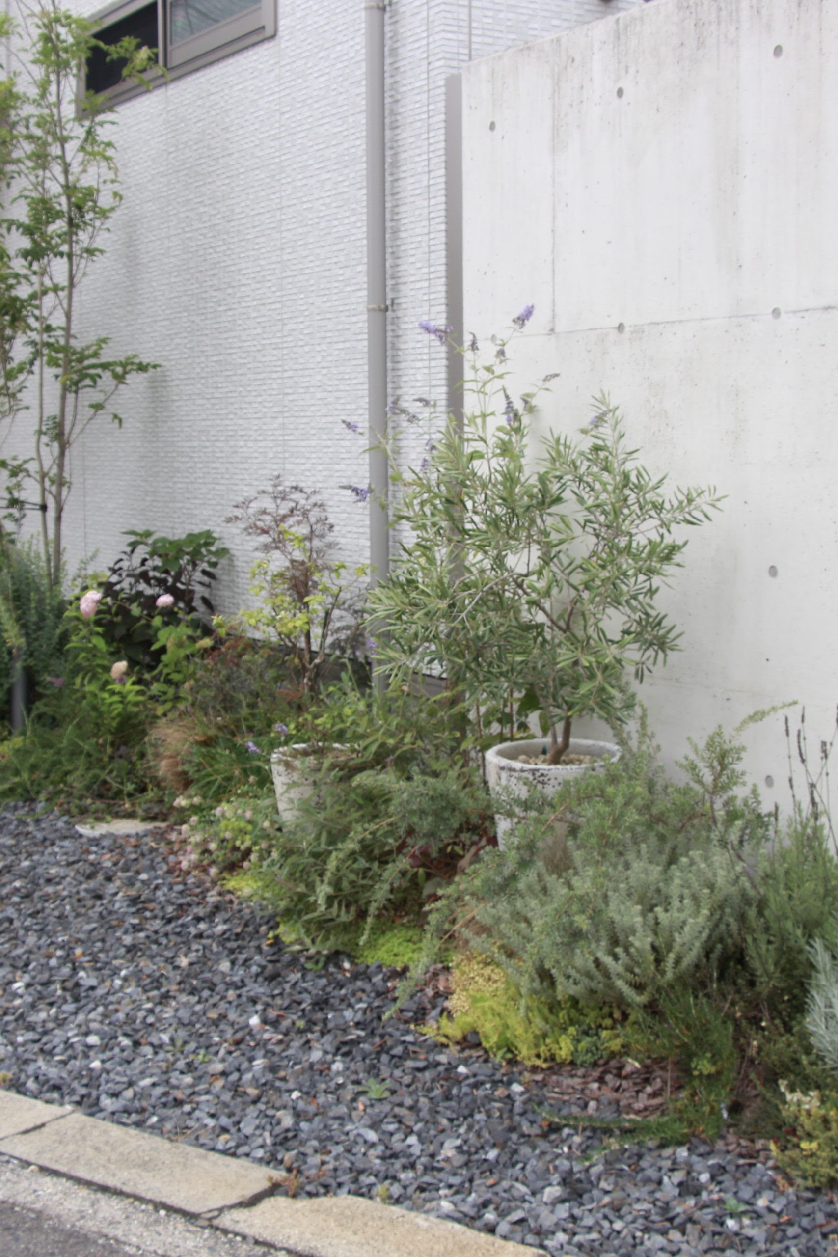 優しい低木の溢れる植栽 Works Sabi Sabi Faire Sa Vie