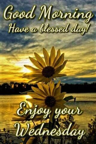 Sunrise Sunflower - Good Morning, Enjoy Your Wednesday 