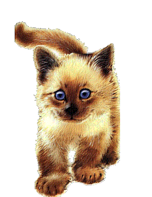 Gif Chien Qui Remue La Queue