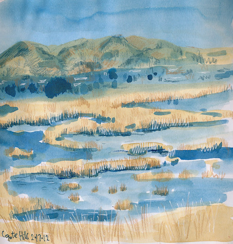 February 2012: Coyote Hills