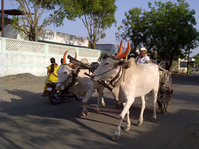 Bullock cart - Visit Dreams Nivara, Ready Possession 2 BHK Flats near Prayag-Dham at Koregaon Mul, Uruli Kanchan, Pune Solapur Highway, Pune 412 202